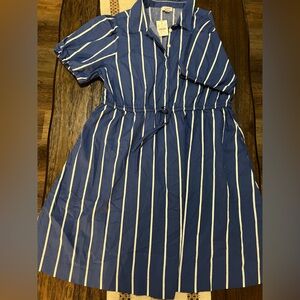 J. Crew Blue and White Striped‎ Dress
